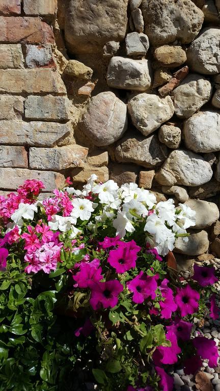 Agriturismo Bio-Melampo Villa Ancarano  Dış mekan fotoğraf